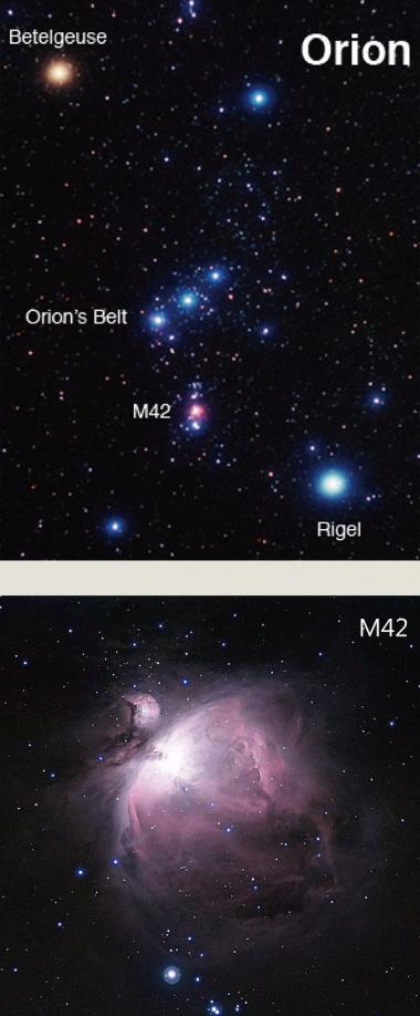 【今月の天体：14】オリオン大星雲